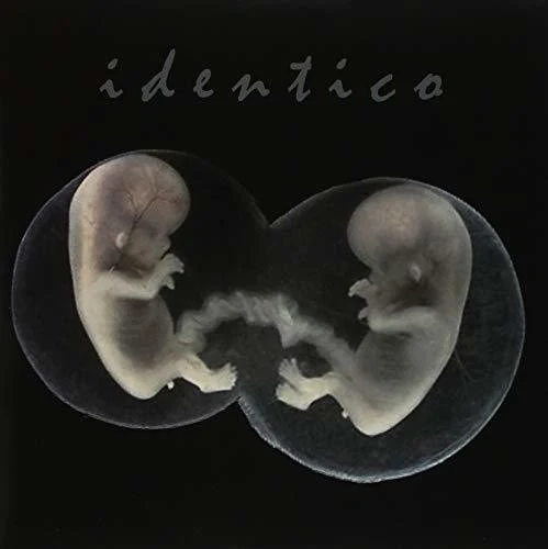 IDENTICO