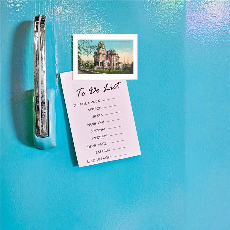 UT-174 Gardo House, Amelia Palace, Salt Lake City, Utah - Vintage Image Magnet, Pack of 6