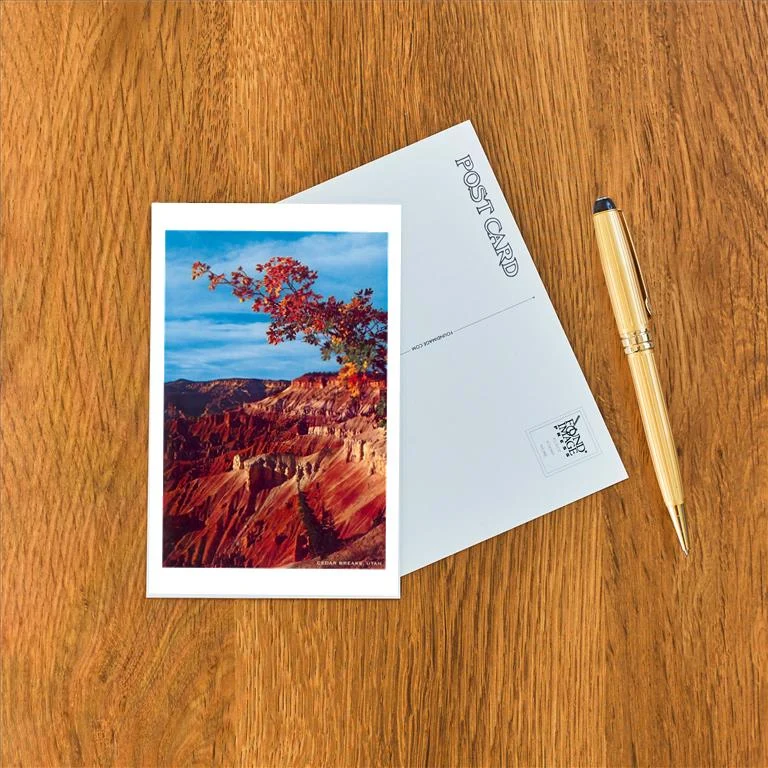 UT-162 Cedar Breaks National Monument - Vintage Image Postcard, Pack of 10