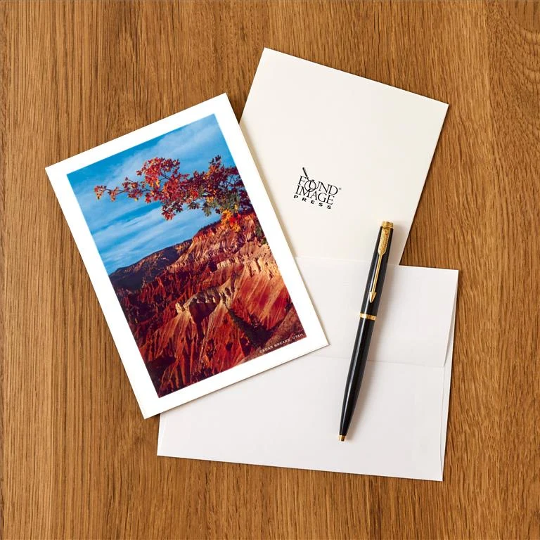 UT-162 Cedar Breaks National Monument - Vintage Image Greeting Card, Pack of 4