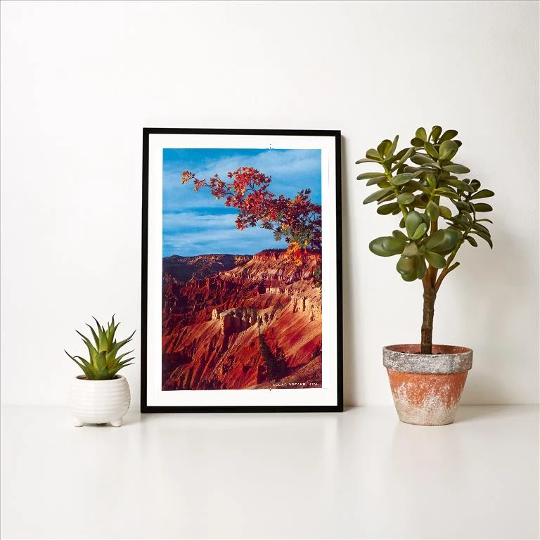 UT-162 Cedar Breaks National Monument - Vintage Image Art Print, Individual Print