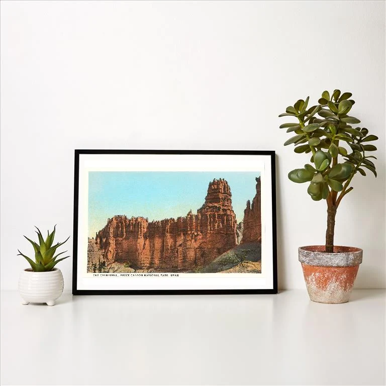 UT-120 Cathedral, Bryce Canyon, Utah - Vintage Image Art Print, Individual Print