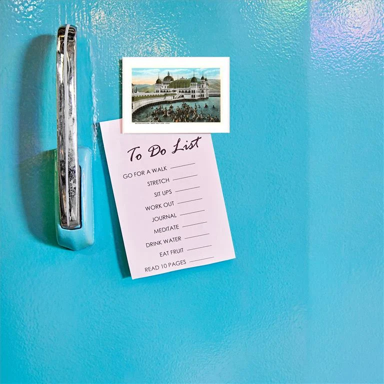 UT-36 Saltair Pavilion, Great Salt Lake, Utah - Vintage Image Magnet, Pack of 6