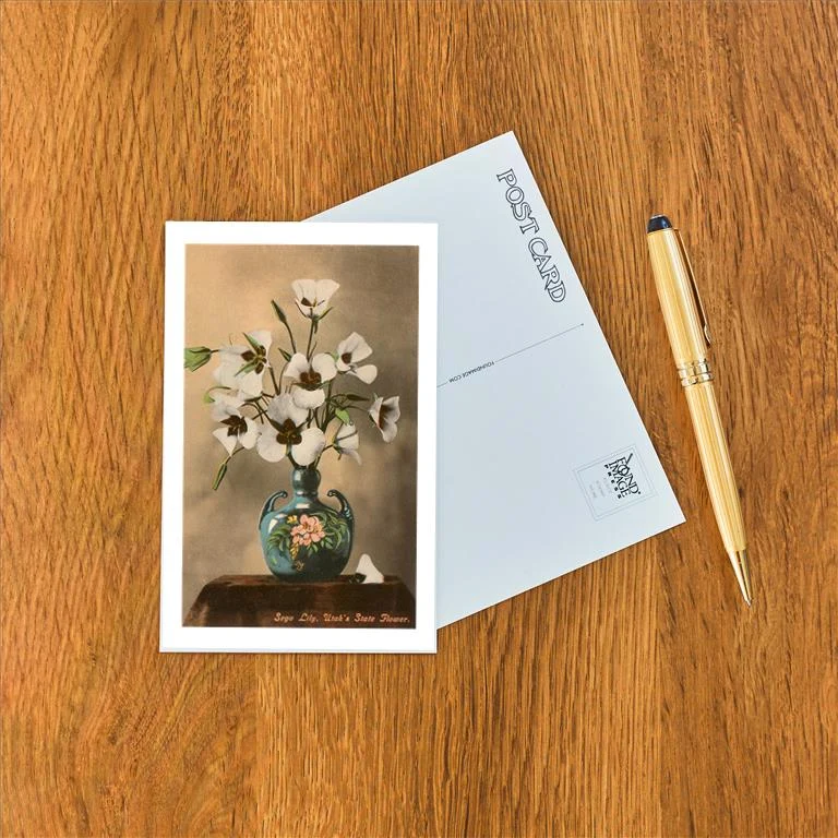 UT-124 Sego Lily, Utah's State Flower - Vintage Image Postcard, Pack of 10