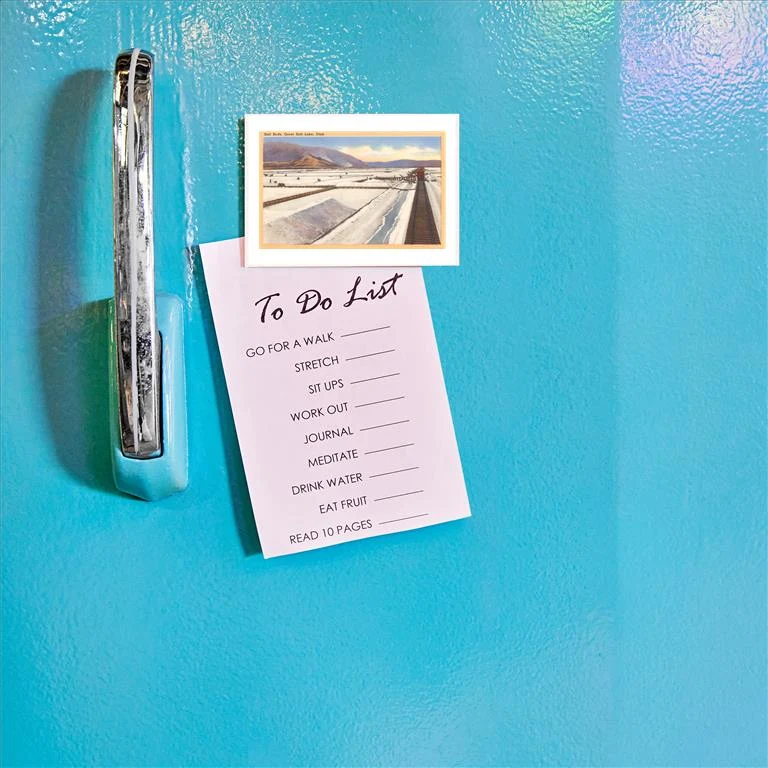 UT-20 Salt Beds, Great Salt Lake, Utah - Vintage Image Magnet, Pack of 6