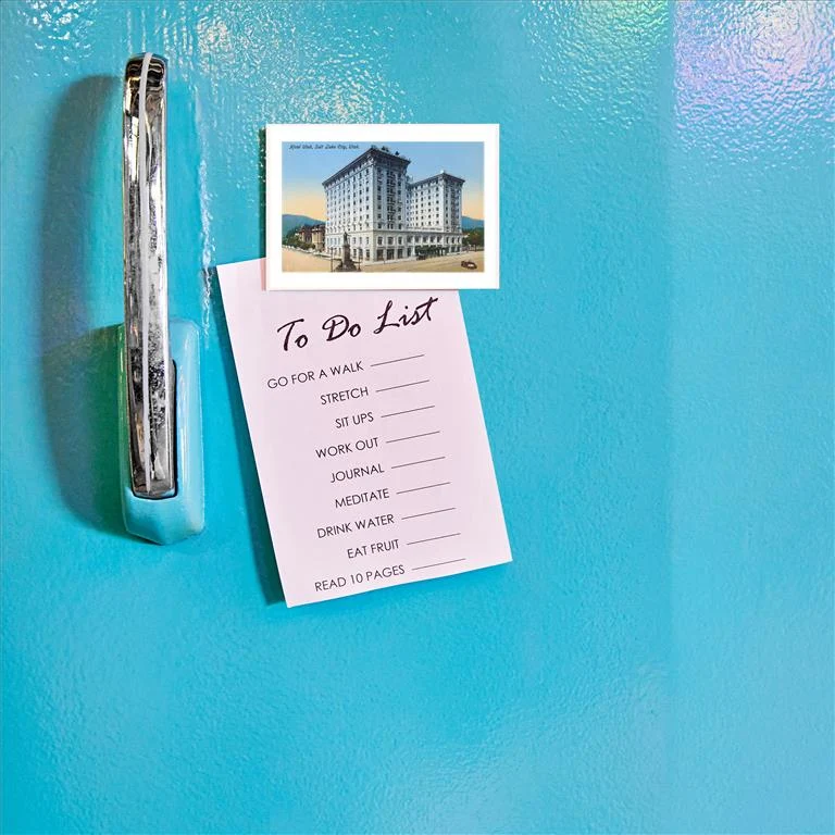UT-173 Hotel Utah, Salt Lake City - Vintage Image Magnet, Pack of 6