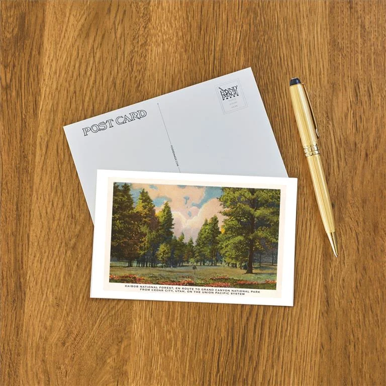UT-28 Kaibob National Forest, Cedar City, Utah - Vintage Image Postcard, Pack of 10