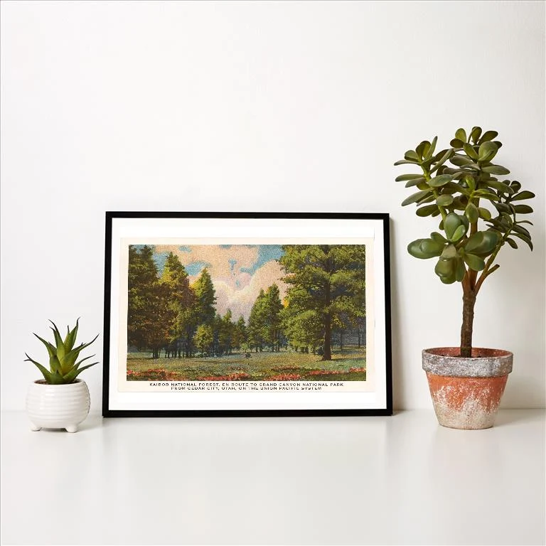 UT-28 Kaibob National Forest, Cedar City, Utah - Vintage Image Art Print, Individual Print