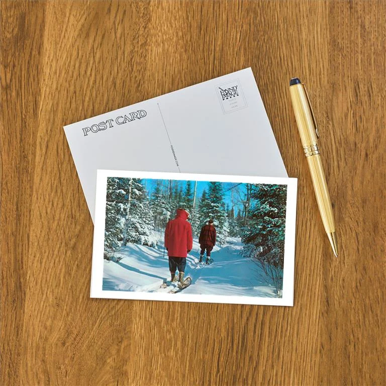 WS-79 Snow Shoeing Through Woods - Vintage Image Postcard, Pack of 10