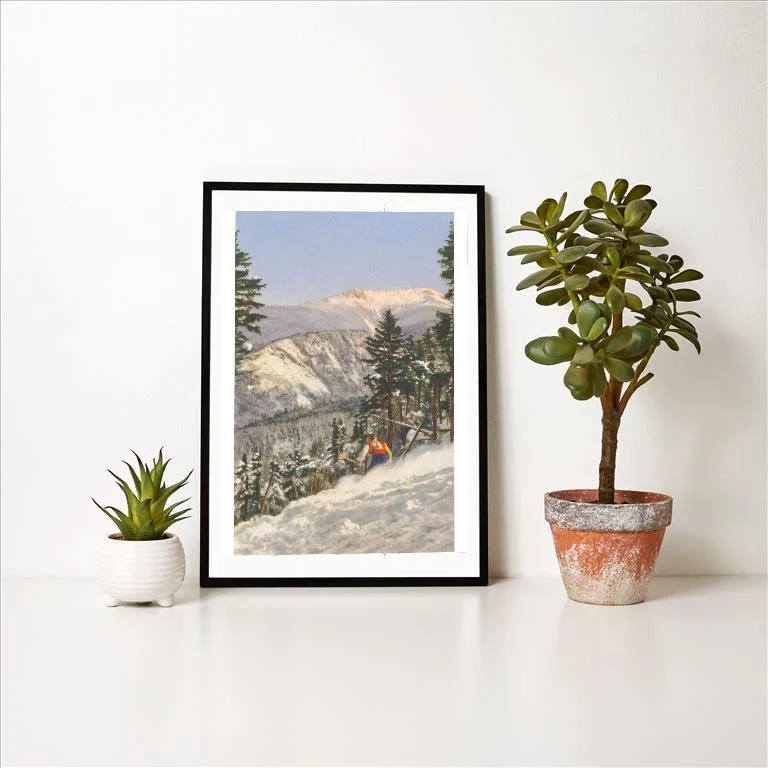 WS-94 Skier in Rough Terrain - Vintage Image Art Print, Individual Print