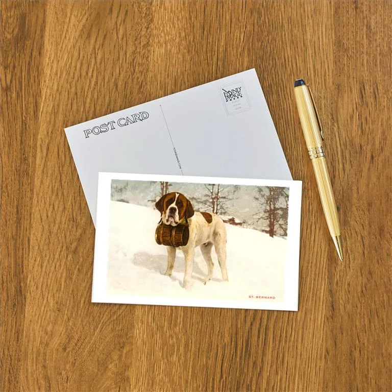 WS-15 St. Bernard with Rescue Keg - Vintage Image Postcard, Pack of 10