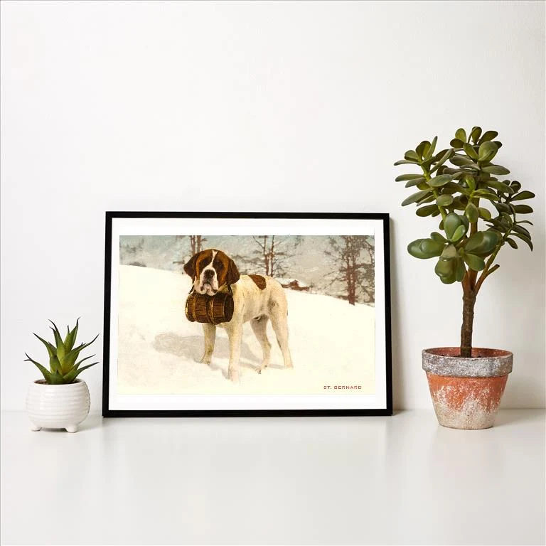 WS-15 St. Bernard with Rescue Keg - Vintage Image Art Print, Individual Print