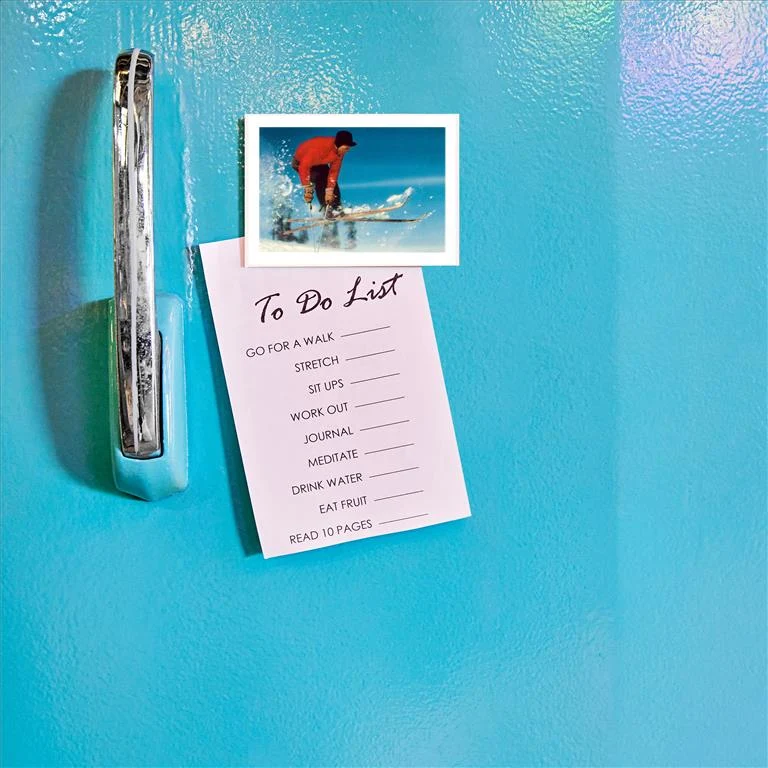 WS-105 Mogul Skier - Vintage Image Magnet, Pack of 6