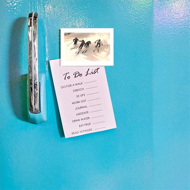 WS-204 Group Skiing - Vintage Image Magnet, Pack of 6