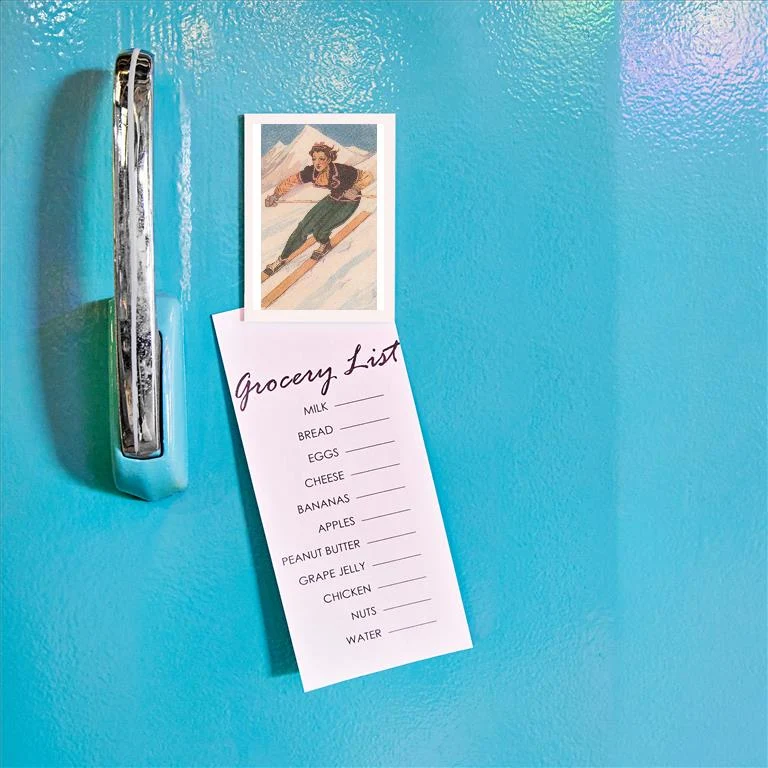 WS-269 Woman Downhill Skier - Vintage Image Magnet, Pack of 6