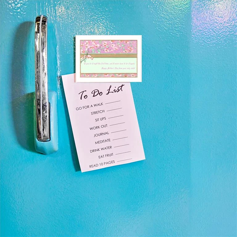 SK-09 If You Do it Right the First Time - Vintage Image Magnet, Pack of 6