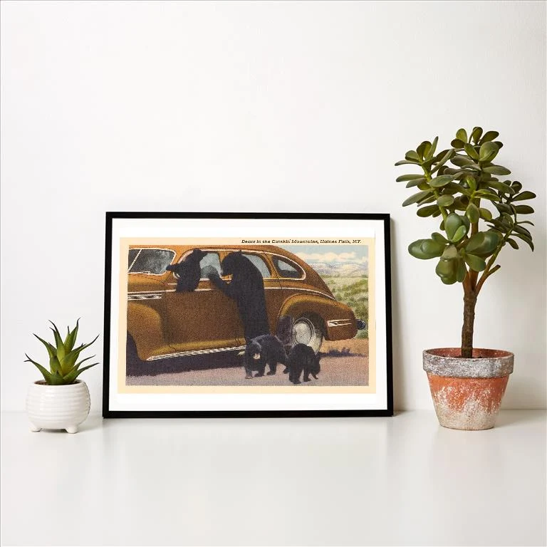 NS-940 Bears in Catskill Mountains - Vintage Image Art Print, Individual Print