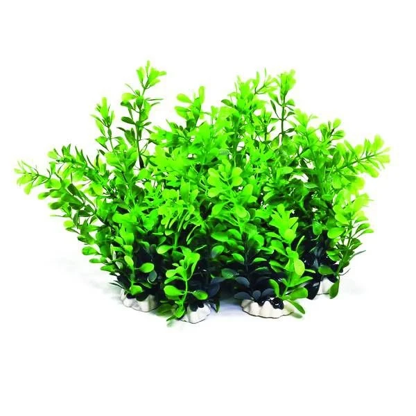 Aquatop Profit Power Pack Plant Green 6In/12 Pack Green / 6"/12 Pack