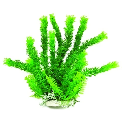 Aquatop Cabomba Like Aquarium Plant Green / 12"