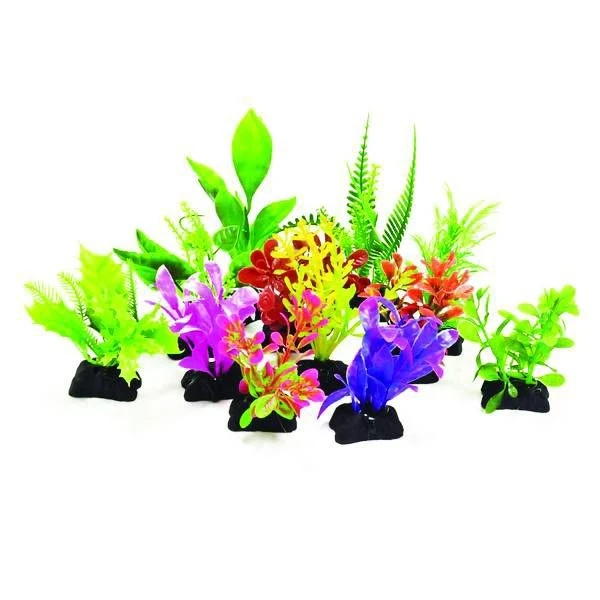 Aquatop Profit Power Pk Plants 3In 12pk Assorted / 3"/12 Pack