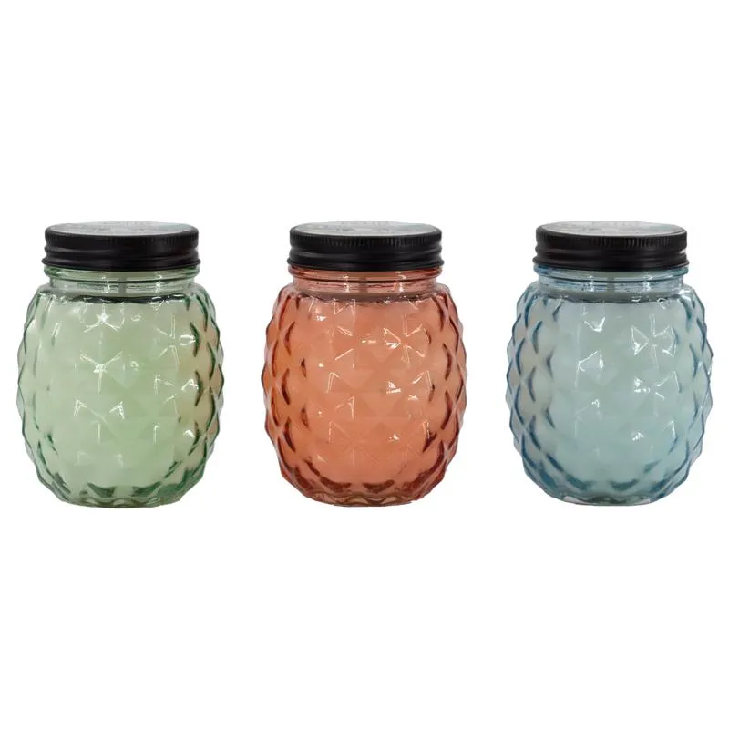 Frasco De Vidro De Citronela Candle Patio Essentials 385 Ml (x9)