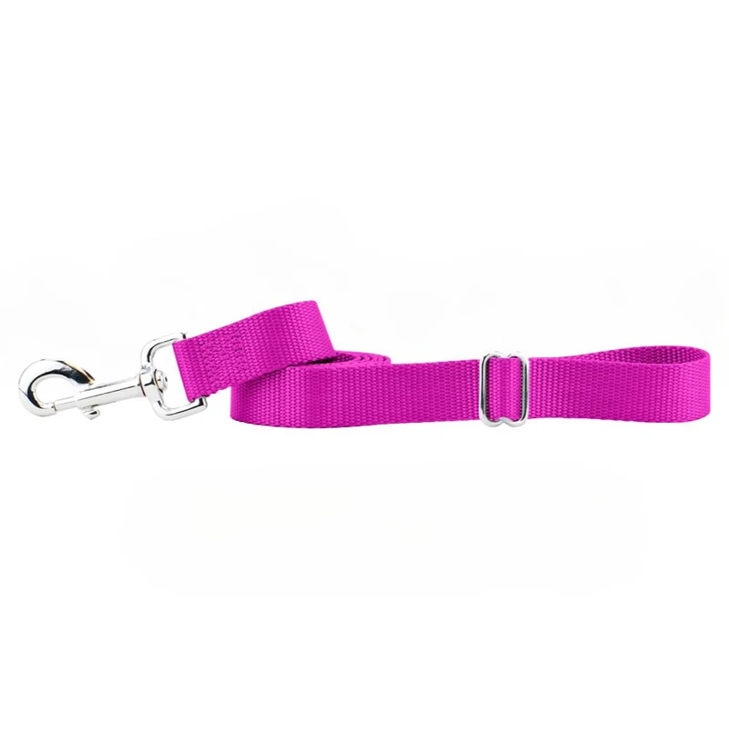 Durable Nylon Dog Leash Raspberry 1 inch / 4 ft