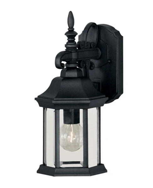 Meridian One Light Outdoor Wall Lantern