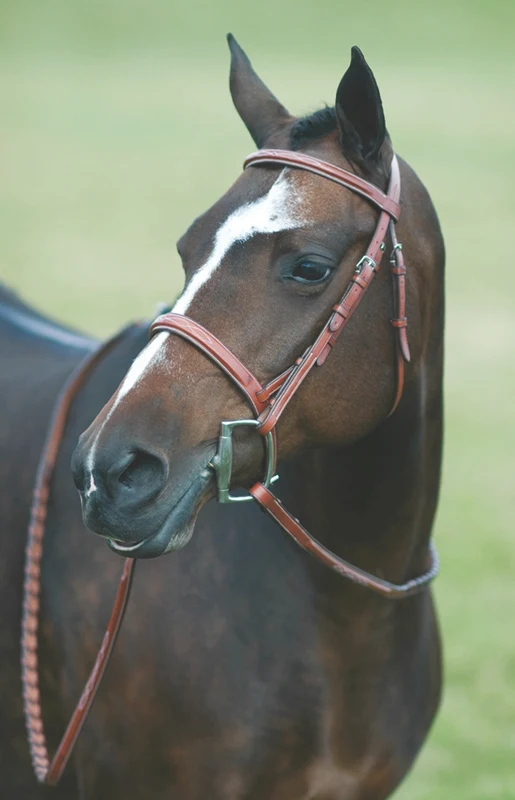 Rodrigo Fancy Stitched Wide Noseband Bridle Dark Brown / Pony