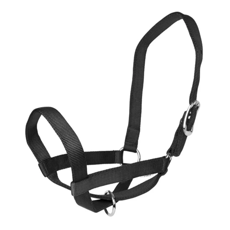 Gatsby Nylon Cattle Halter Black / L