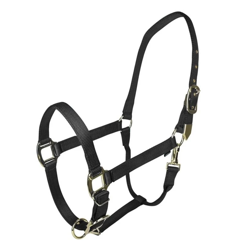 Gatsby Gold Adjustable Nylon Halter Black / Oversize