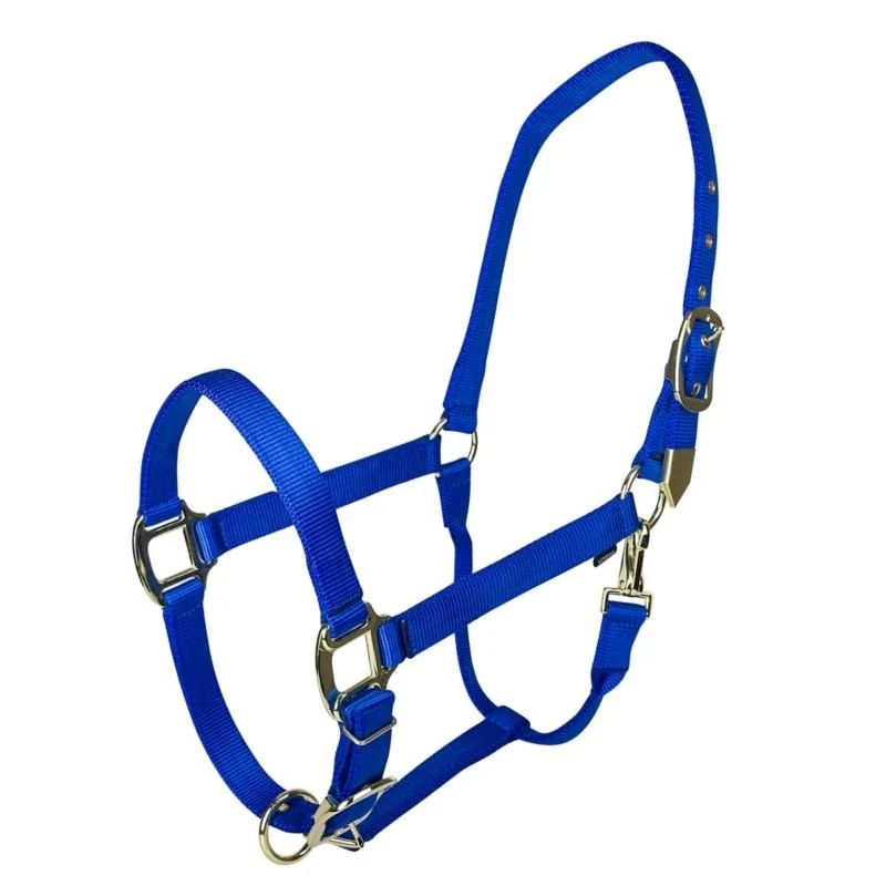 Gatsby Gold Adjustable Nylon Halter Blue / Horse