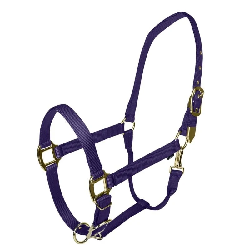 Gatsby Gold Adjustable Nylon Halter Purple / Horse
