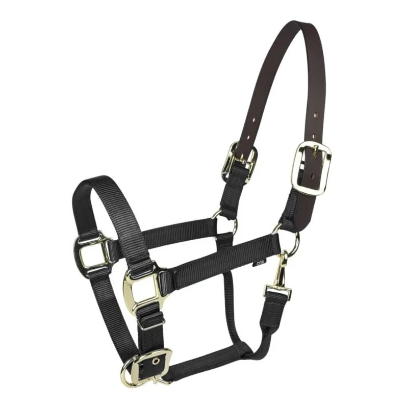 Gatsby Gold Nylon Breakaway Halter Black / Pony
