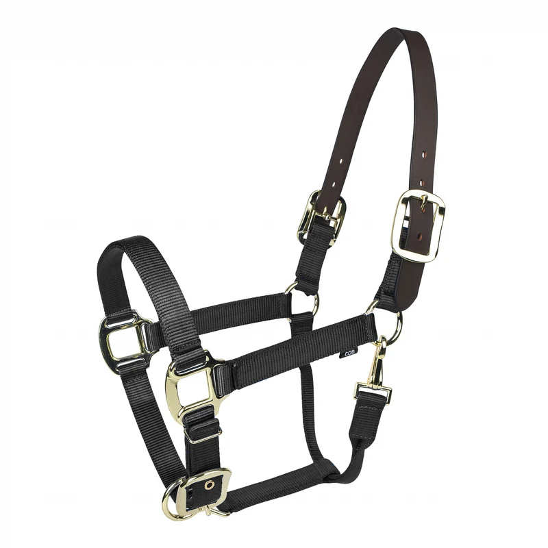 Gatsby Gold Nylon Breakaway Halter with Snap Black / Oversize