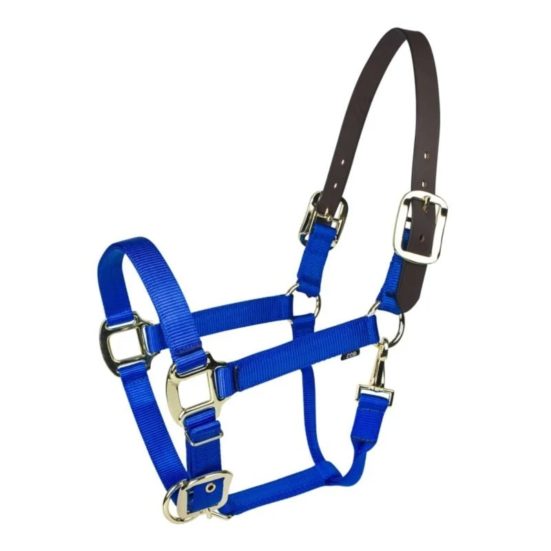 Gatsby Gold Nylon Breakaway Halter Blue / Cob