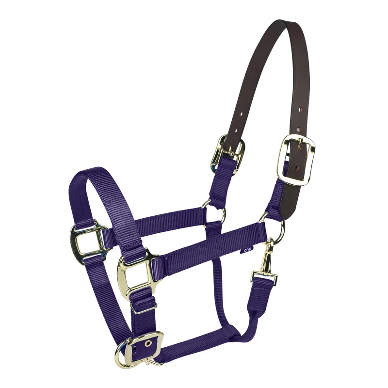 Gatsby Gold Nylon Breakaway Halter with Snap Purple / Horse