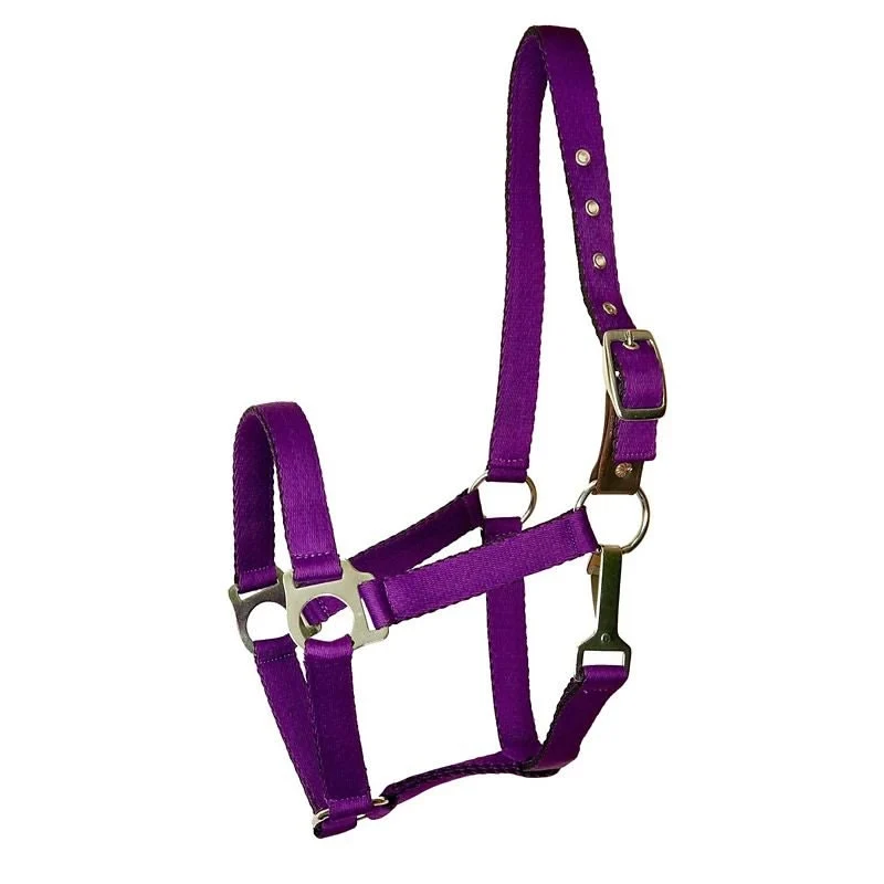 Gatsby Nylon Safety Breakaway Halter Purple / Oversize