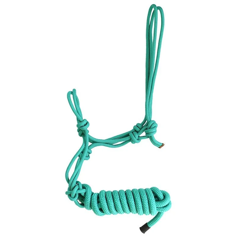 Gatsby Classic Cowboy Halter with Lead Turquoise / Horse