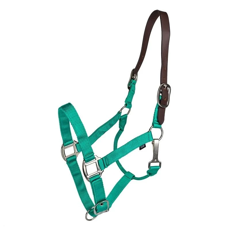 Gatsby Nylon Breakaway Halter Turquoise / Oversize
