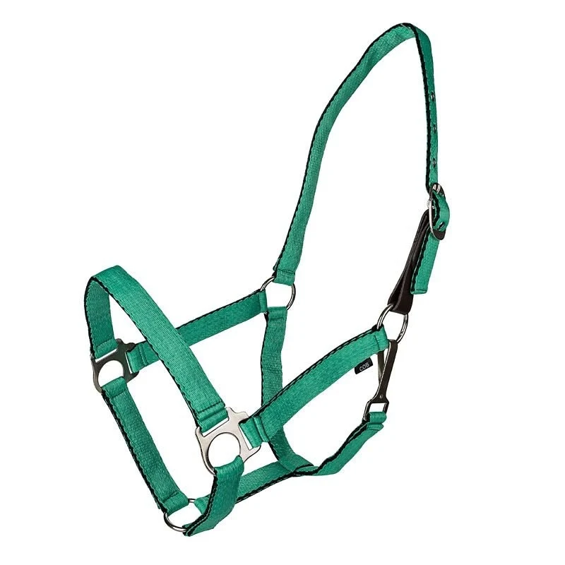 Gatsby Nylon Safety Breakaway Halter Turquoise / Weanling