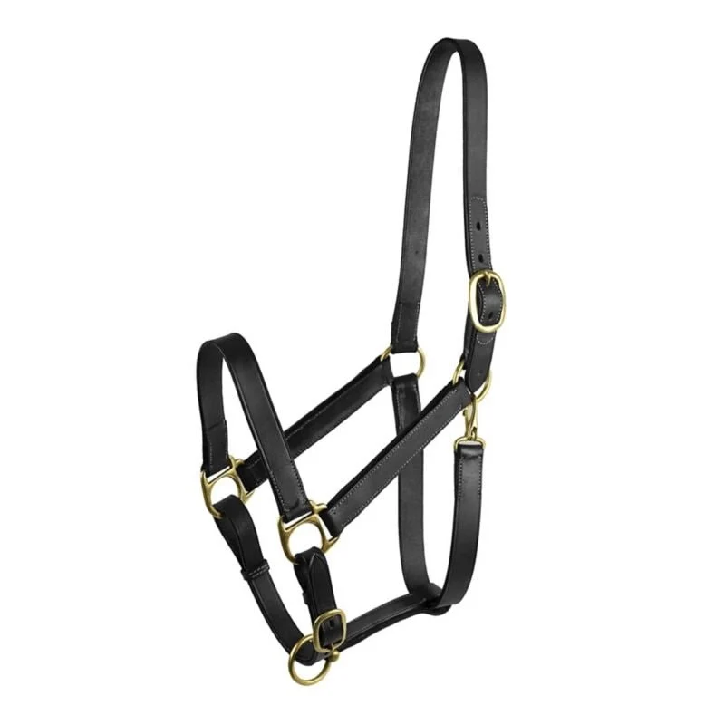 Gatsby Adj Turnout Halter with Snap Black / Oversize