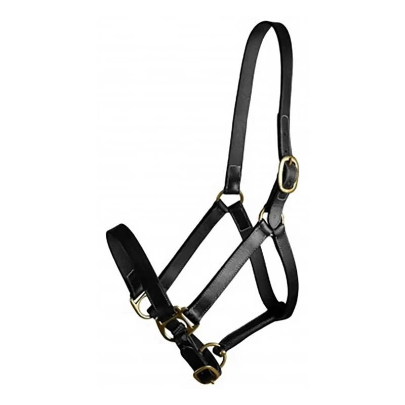 Gatsby Adj Turnout Halter No Snap Black / Cob/Arab