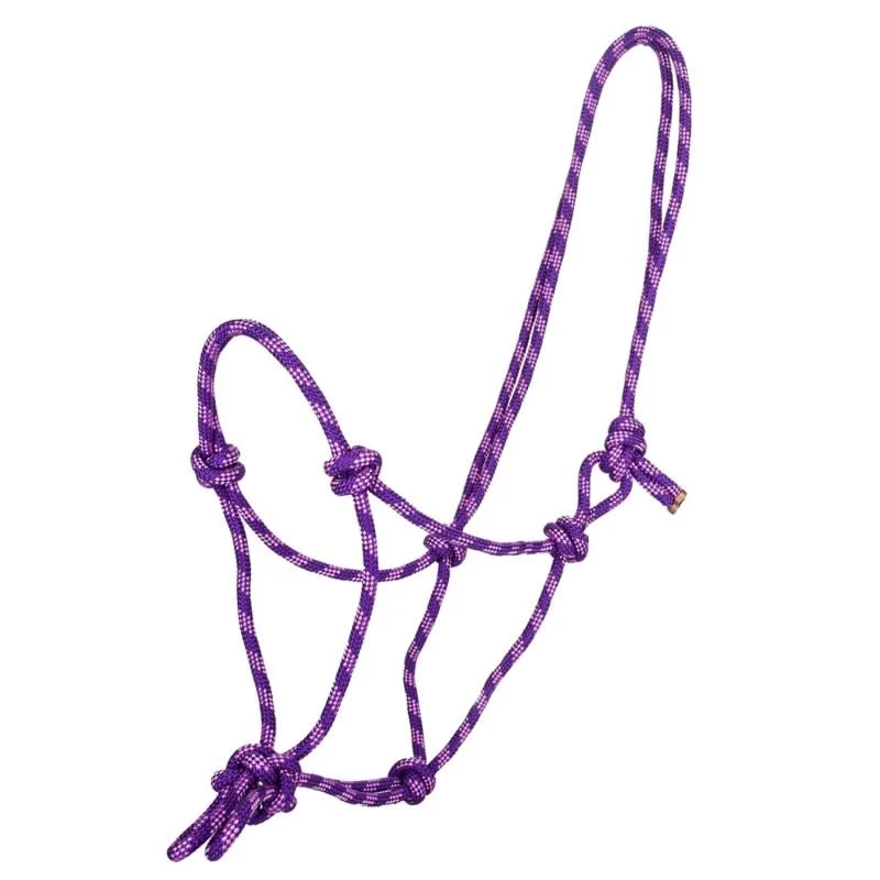 Tabelo Cowboy Rope Halter Purple/Pink / Horse