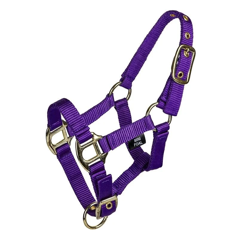 Gatsby 2-ply Nylon Mini Halter Purple / Mini Small