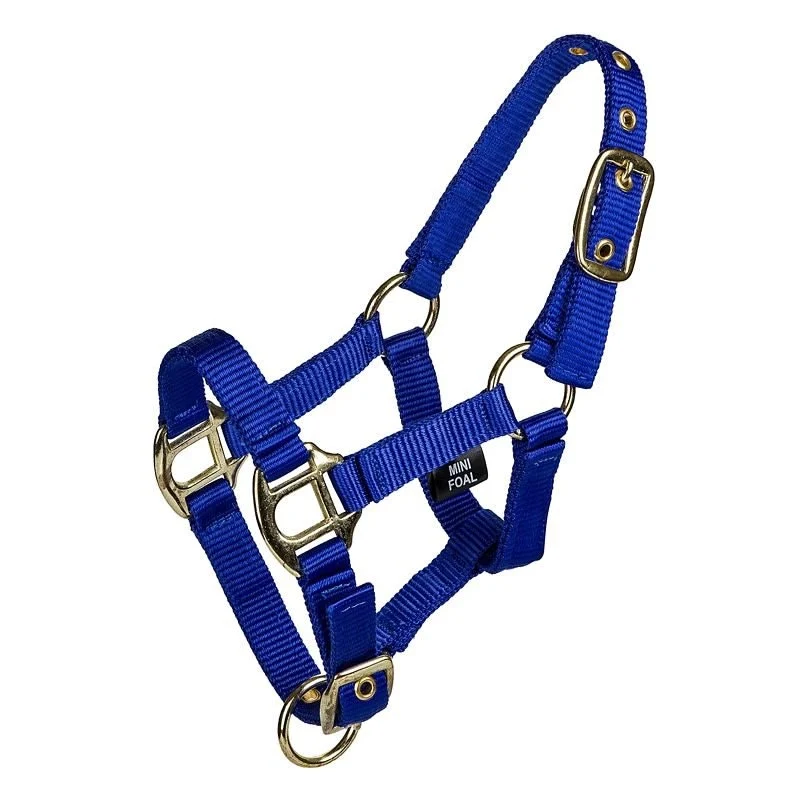Gatsby 2-ply Nylon Mini Halter Royal / Mini Large