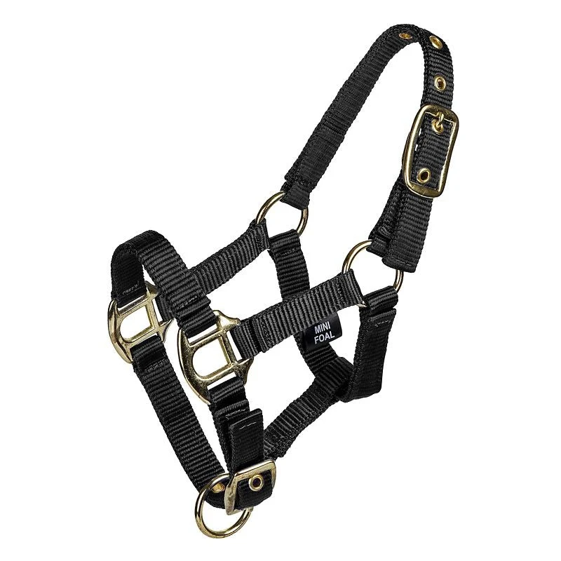 Gatsby 2-ply Nylon Mini Halter Black / Mini XL/Pony