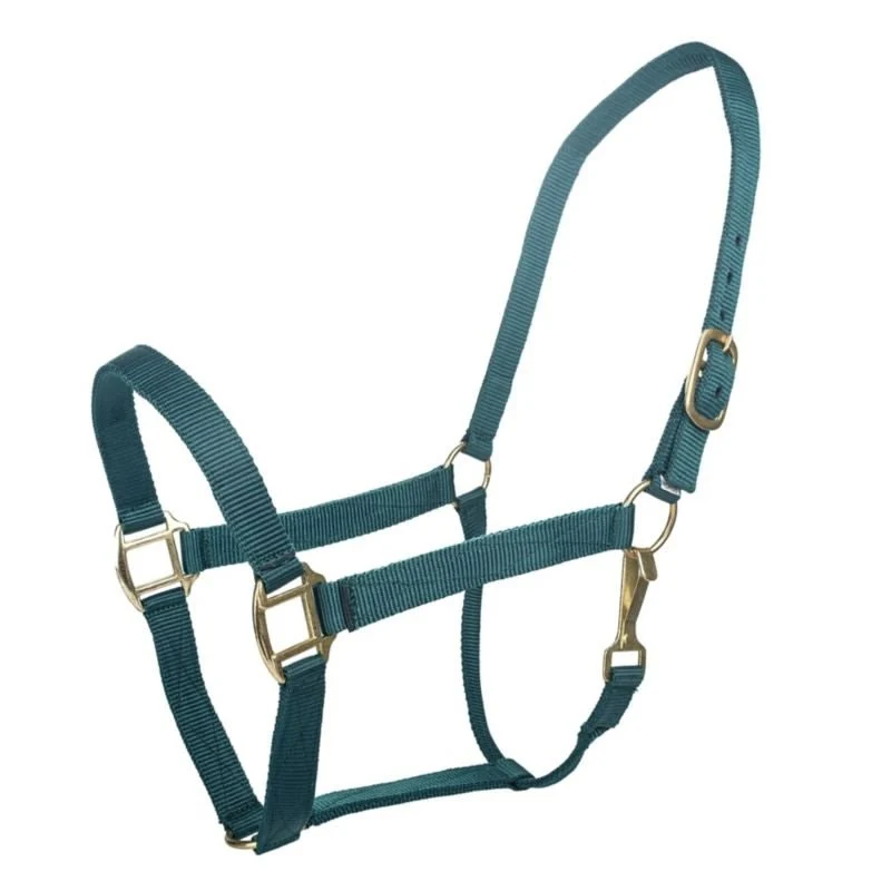 Tabelo Nylon Halter with Snap Green / XL-Horse