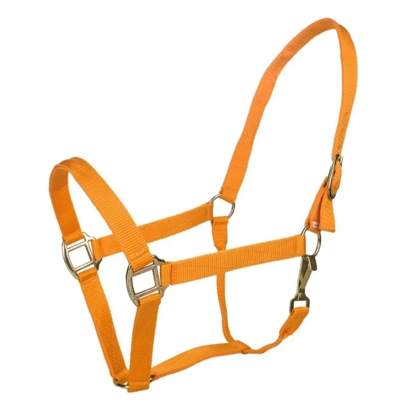Tabelo Nylon Halter with Snap Orange / XL-Horse