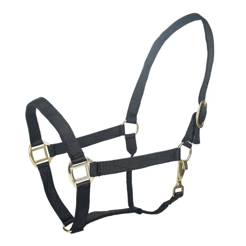 Tabelo Nylon Halter with Snap Black / Pony