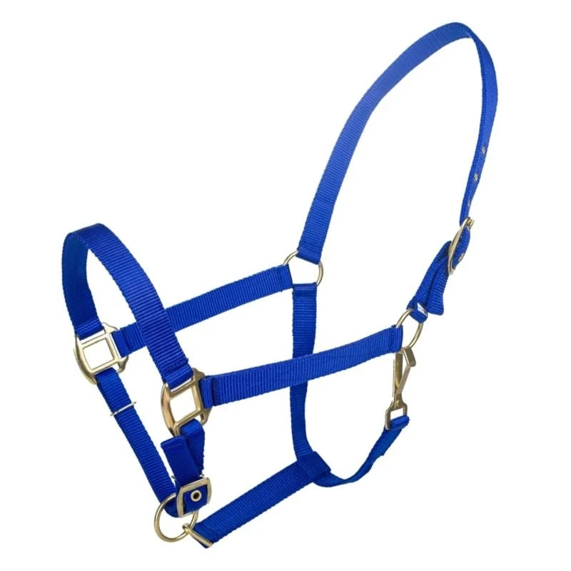 Tabelo Nylon Halter with Adj Chin Blue / Cob